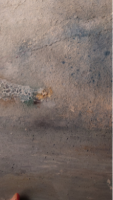 Untitled design (7) 2